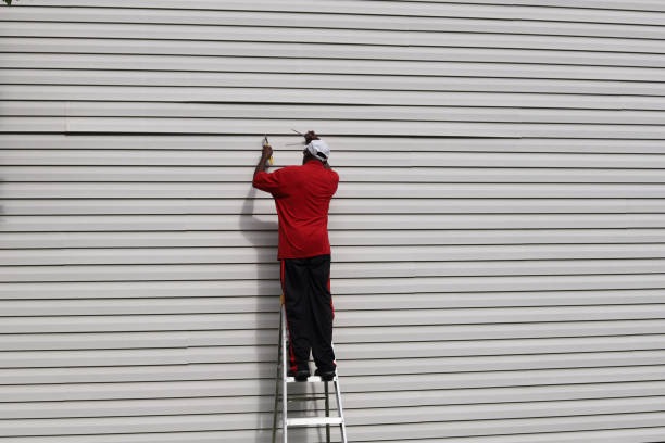 Affordable Siding Repair and Maintenance Services in Catalina Foothills, AZ