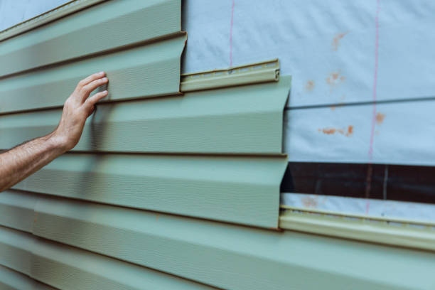 Best Custom Siding Design  in Catalina Foothills, AZ